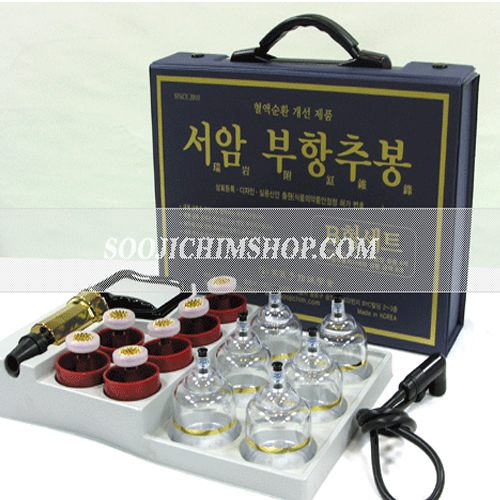 서암부항추봉B형