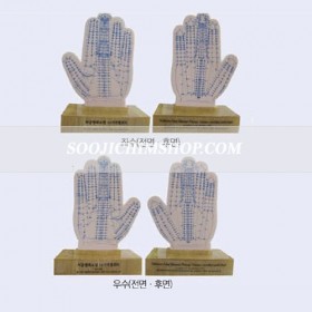 서금염파요법 위도판(좌우)